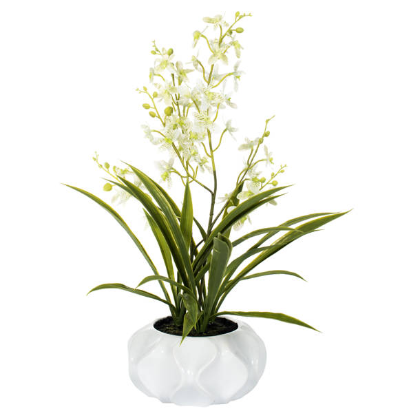Rosdorf Park Artificial Potted Orchid Wayfair